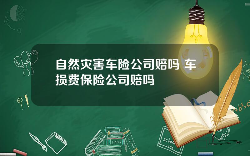 自然灾害车险公司赔吗 车损费保险公司赔吗